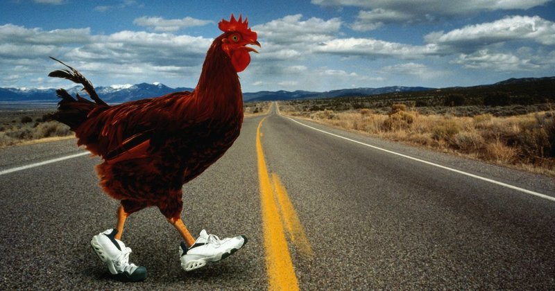 Chicken road casino - Descubre El Mundo de Chicken Road en España, el Juego de Casino que Todo el